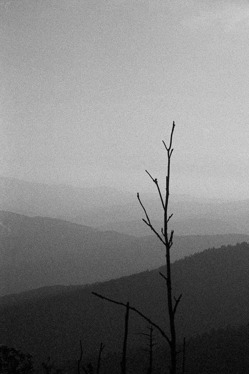 Clingman's Dome