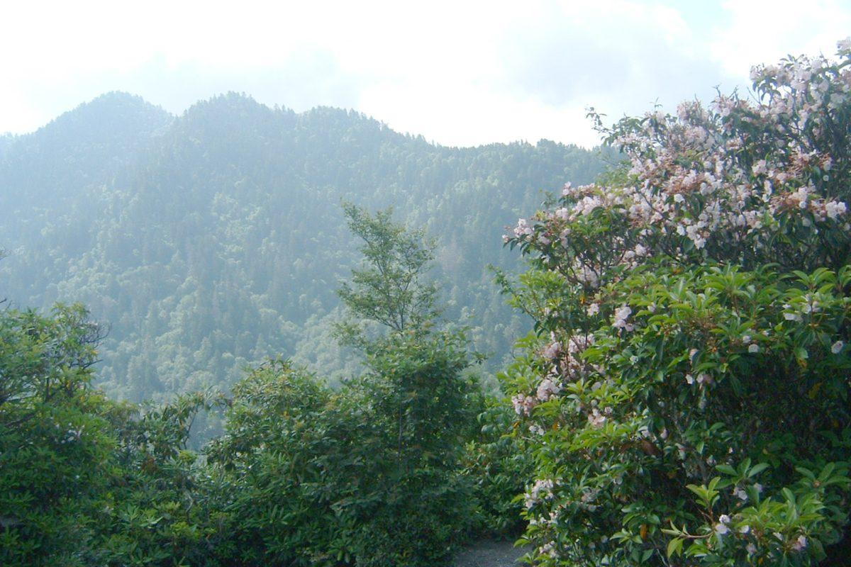 great smoky mountains