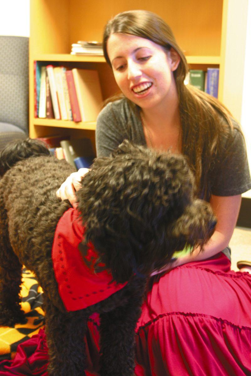 Daily Beacon practicum student Andelyn Barclay, senior in journalism and electronic media, plays with HABIT labradoodle Jazz during the Sept. 4 Canine Comfort Day.