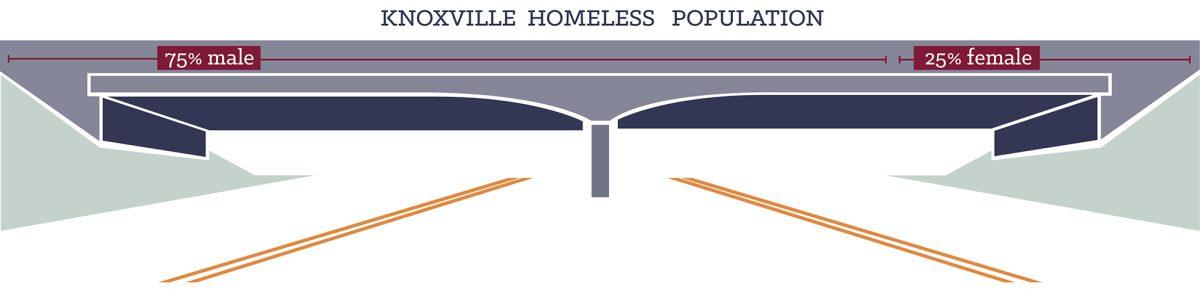 Bridge graphic depicting the ratio of men to women homeless individuals in Knoxville.