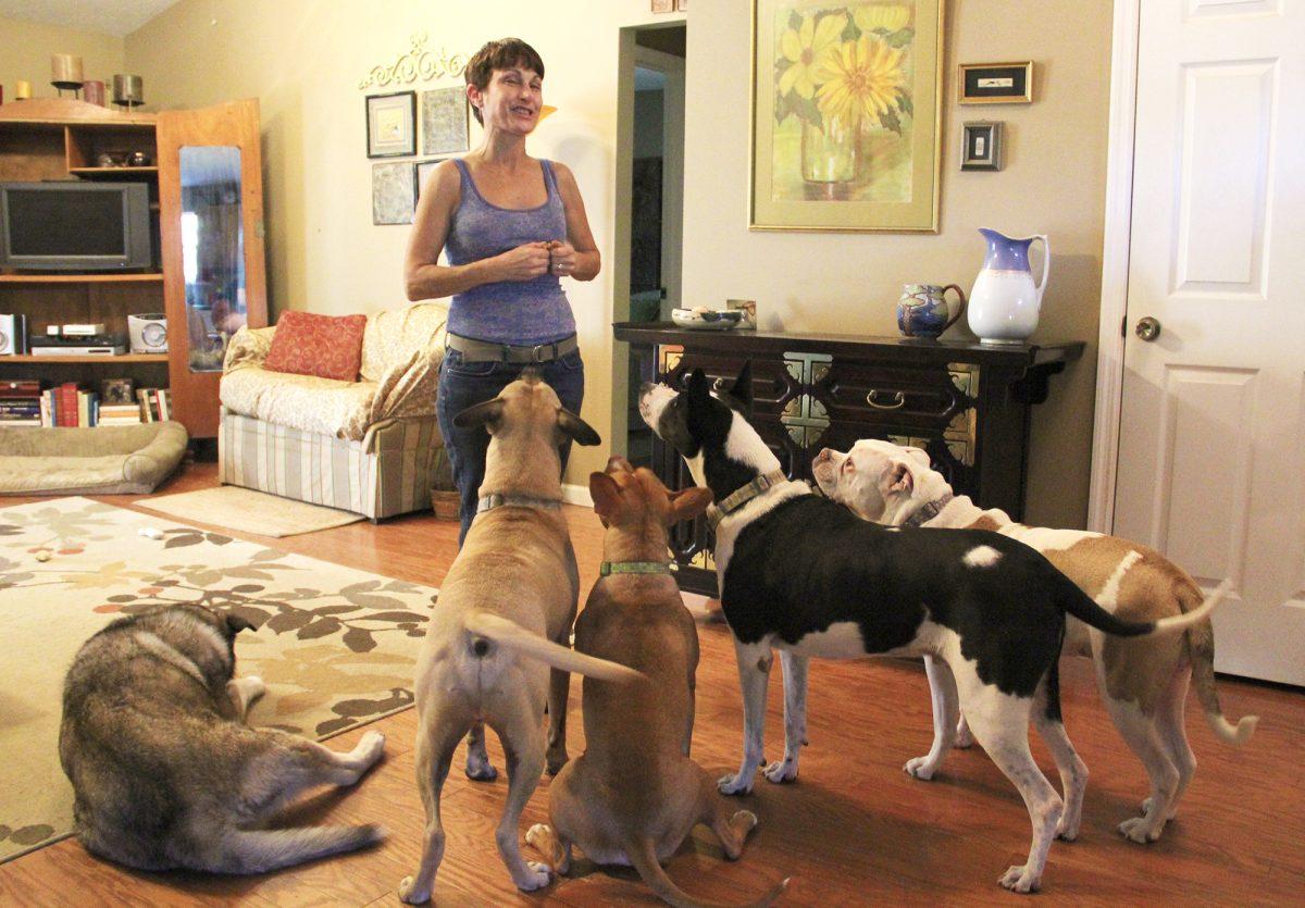 From left to right: Rosco, Ty, Roo, Patton, and Poochie stand at attention for Cihak. "Mama's home."