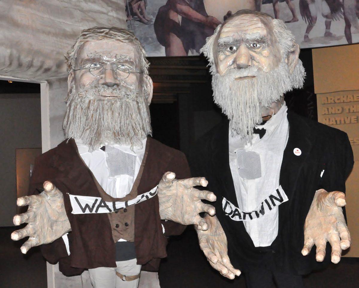 Kevin and Cindy Collins, local artists, crafted these 12-foot paper mache puppets of Charles Darwin and Alfred Russel Wallace.