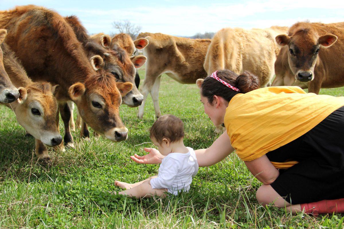 Colleen Cruze Bhatti, right, sits with her 8-month-old daughter, Amery, and her Jersey cows on their 550 acre farm.