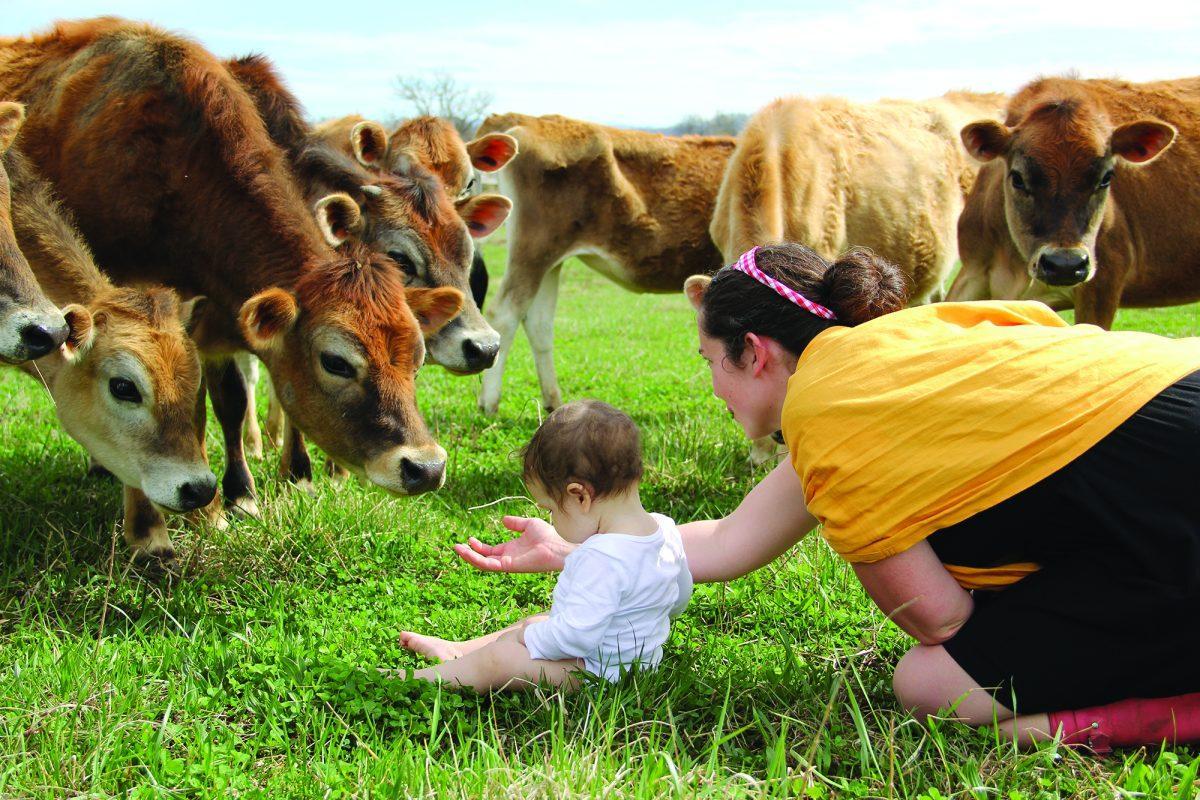 The time I got to hang out with Colleen and chat about love, life and cows. Then I got to pet a cow. That was great.