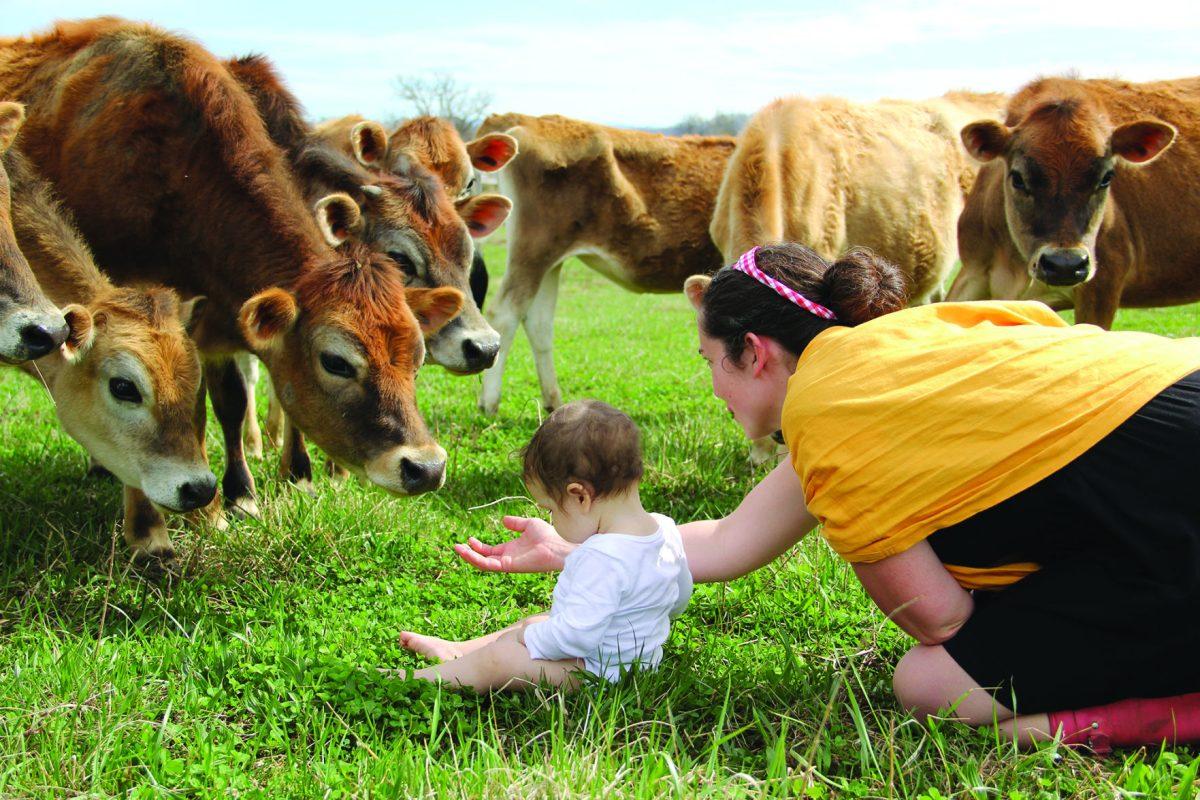 The time I got to hang out with Colleen and chat about love, life and cows. Then I got to pet a cow. That was great.