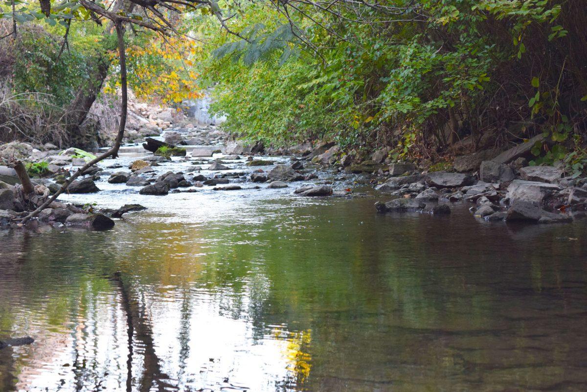 Many creeks and streams that run through and around UT campus face high levels of pollution.