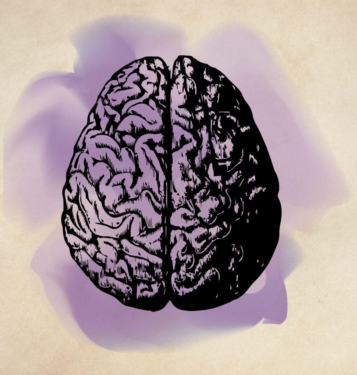 Purple Brain