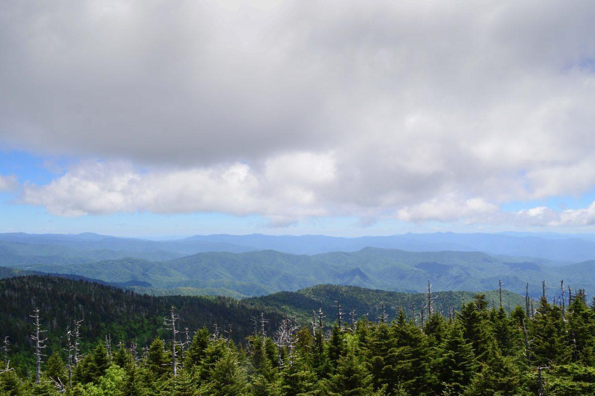 DSC_0530.jpg