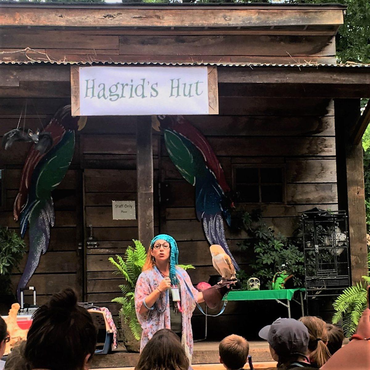 Hagrid's Hut