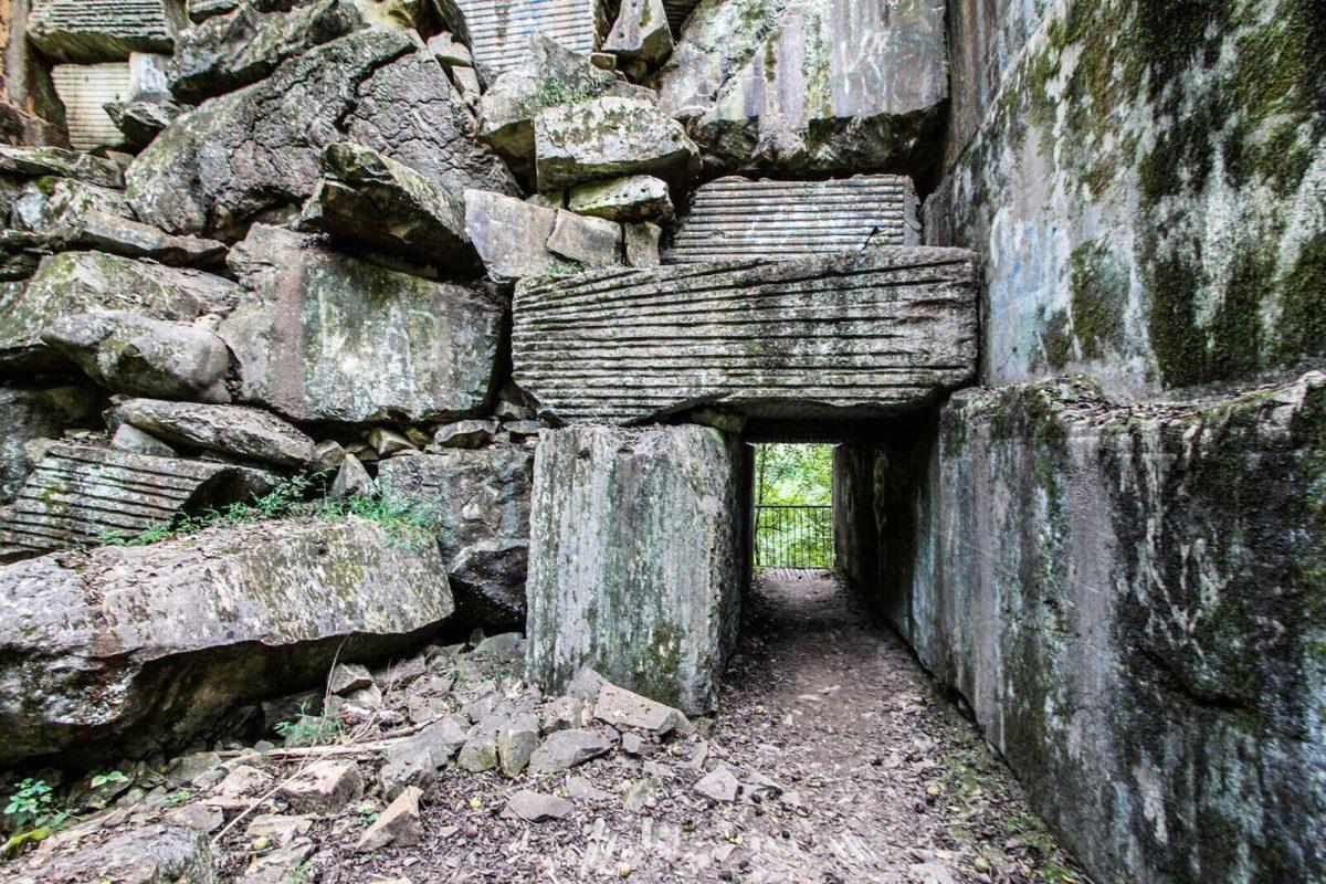 Ijams Nature Center provides a slew of opportunities for outdoor recreation just minutes outside of downtown Knoxville.