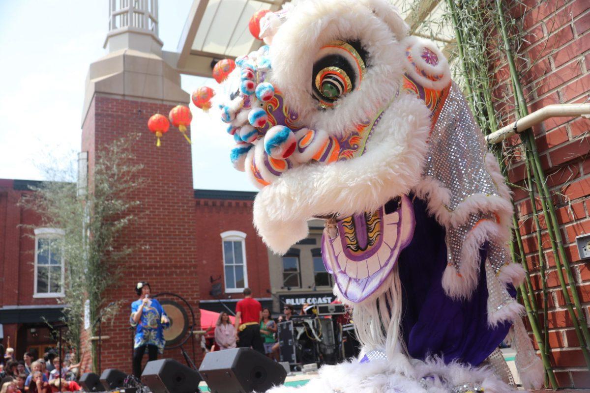 Lion Dancers performed at the 5th Knox Asian Festival in Market Square on Sunday afternoon.