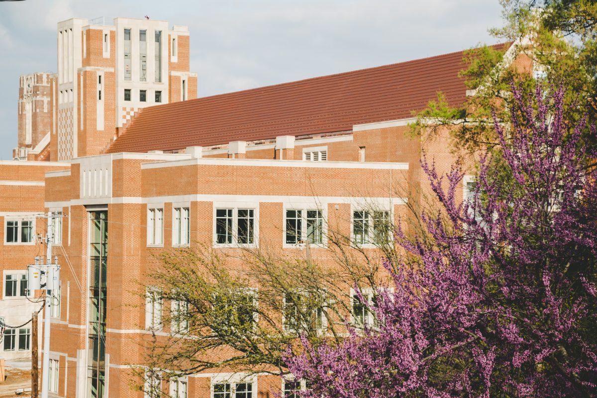 Spring blooms all around UT's Campus.