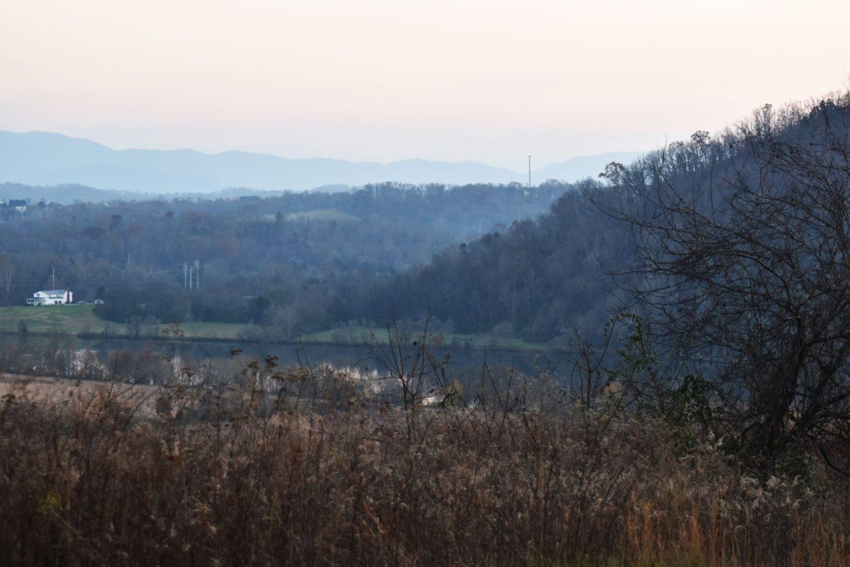 A short hike in the Seven Islands State Birding Park offers a quiet view of a pond below. 
