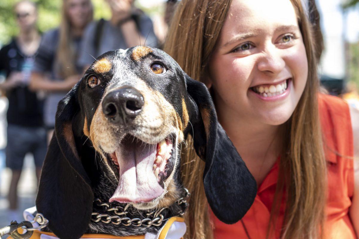 On Wednesday, March 20, 2019 Gov. Bill Lee signed a bill that named the Bluetick Coonhound the official dog of Tennessee.