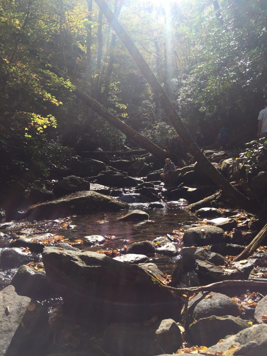 Kylie Hubbard hiking Grotto Falls in the Great Smoky Mountains National Park. 