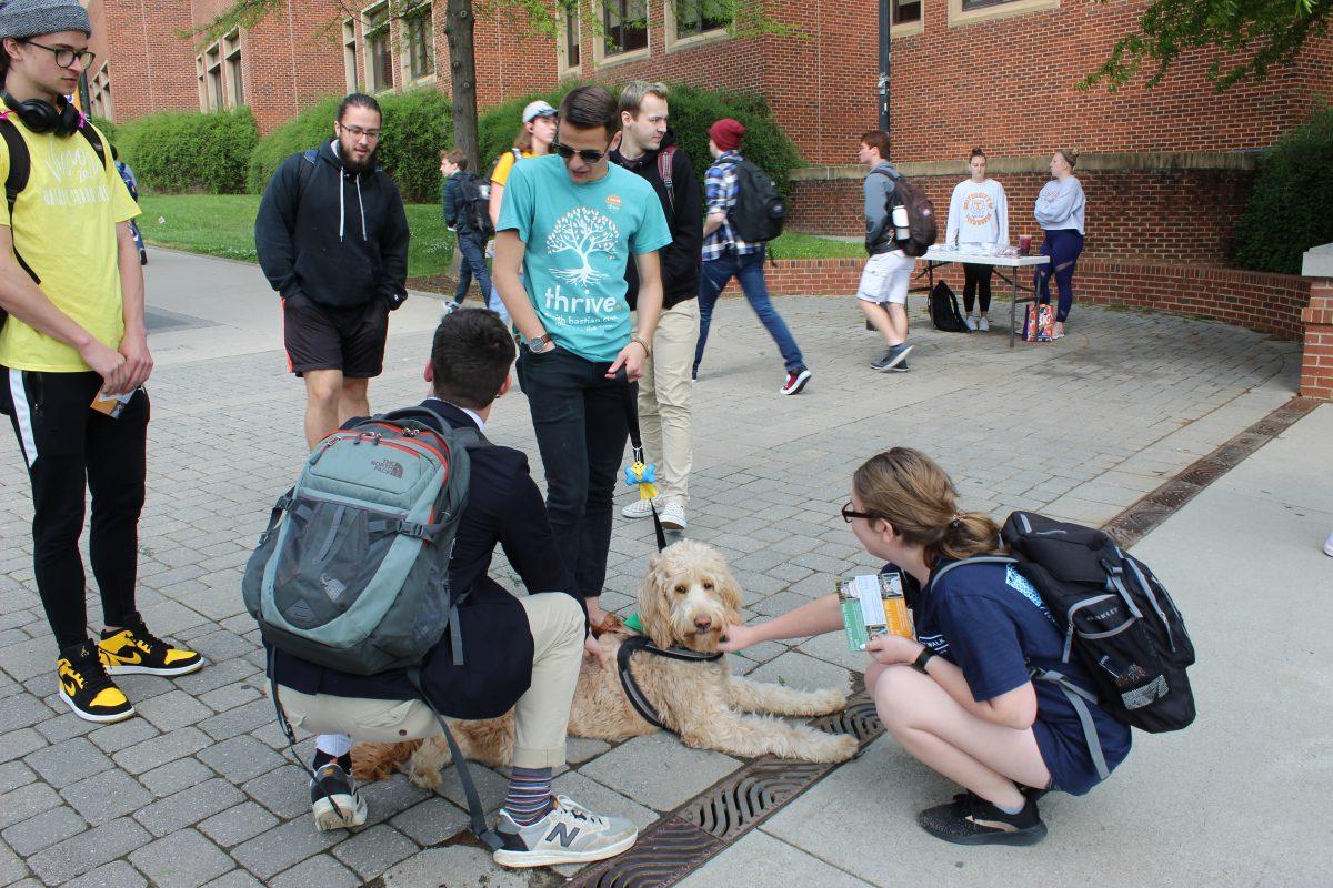 Justin Cross, student services director candidate and fluffy side-kick Admiral, speaks with students about Thrive's campaign on Monday April 15, 2019 on Ped Walkway.