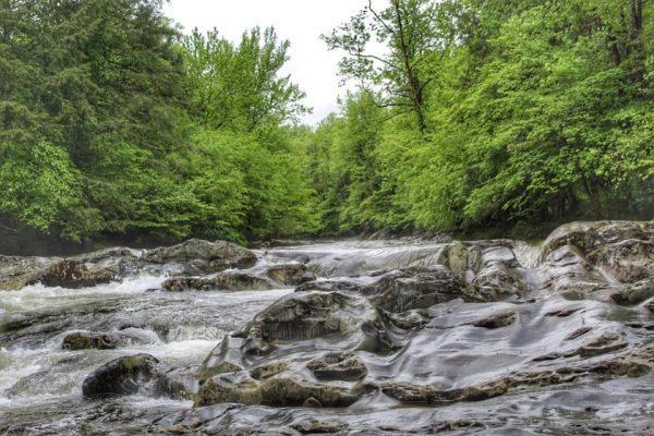 Water rushes down a creek in the Greenbrier area of the Great Smoky Mountains National Park. 