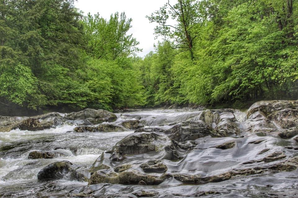Water rushes down a creek in the Greenbrier area of the Great Smoky Mountains National Park. 