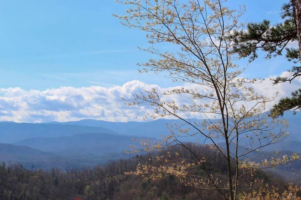 A view from the newly completed "missing link" of the Foothills Parkway, connecting Walland and Wears Valley, Tennessee. 