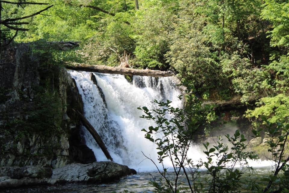 Abrams Falls, located in the Cades Cove Loop, is one of the most voluminous waterfalls in the Great Smoky Mountains National Park. 