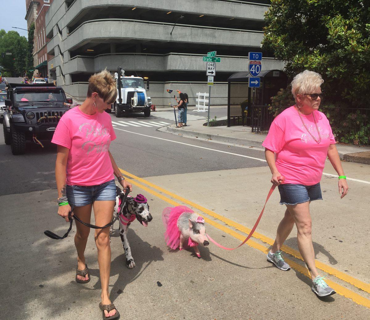 Dressed-up pets - including a pig in a  tutu - also made appearances in the parade. 