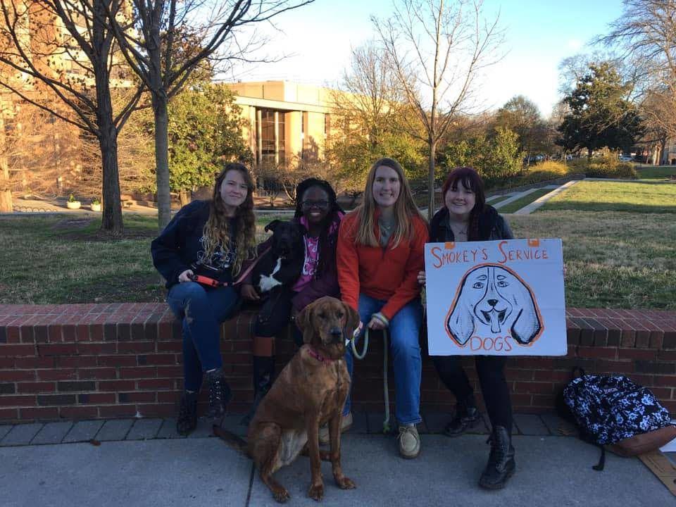 Some members from Smokey's Service Dogs hanging out on Ped Walkway.