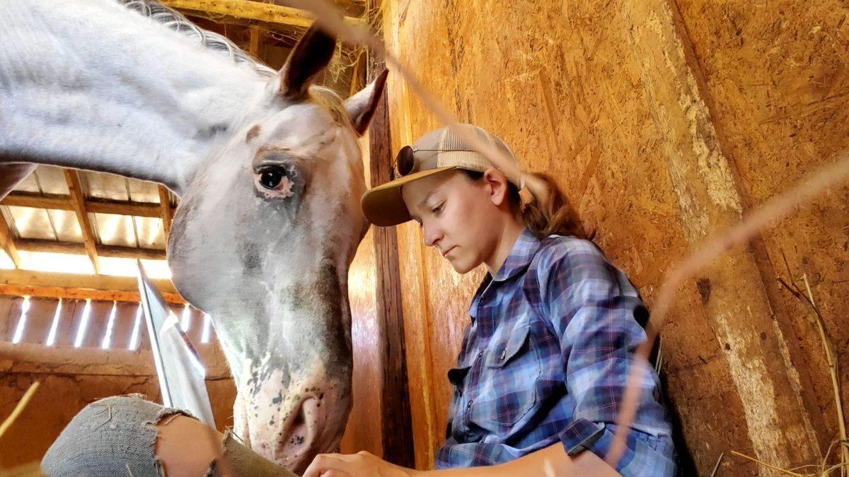 Trusty steed Hank gives assistance in typing and edits during the writing of this column.