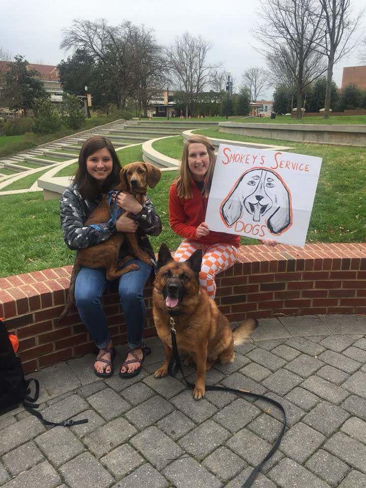 Service dogs, Maple (left) and Shadow (right) hang out with their trainers on Ped Walkway. 