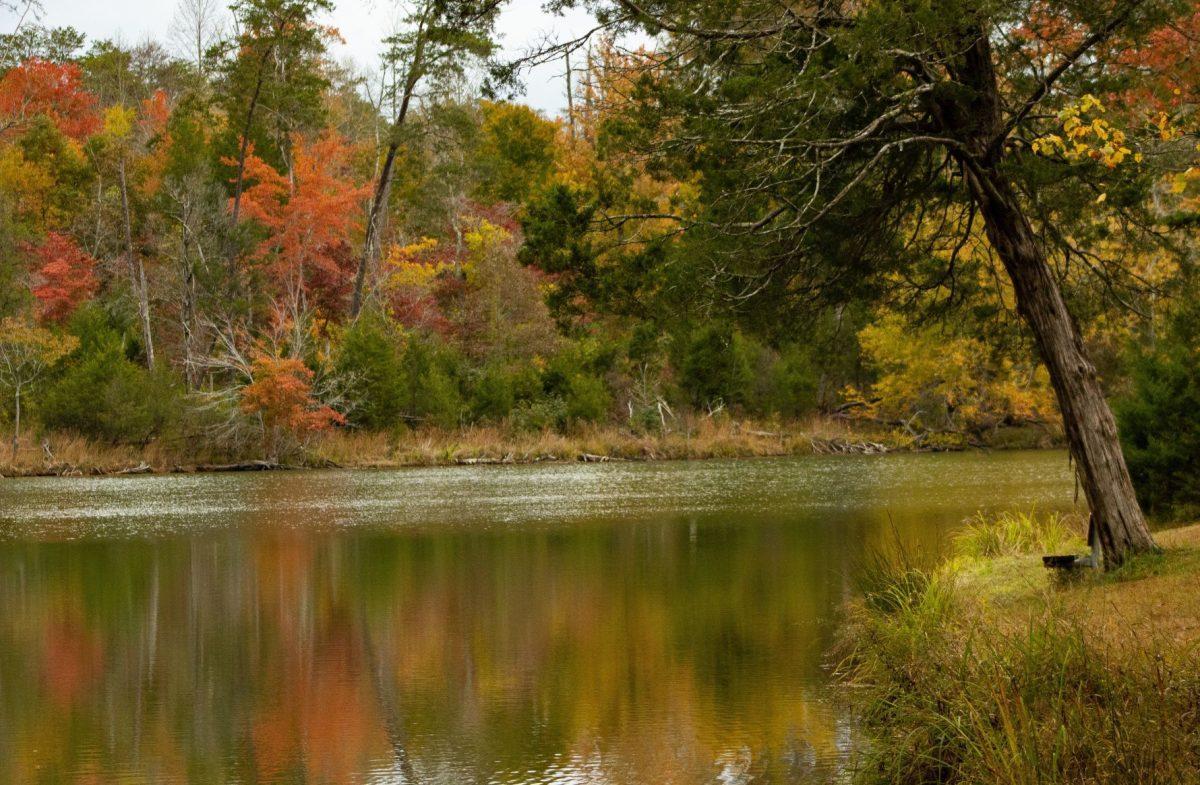 Even if you don't see any ghosts, the fall foliage of Big Ridge State Park, Tennessee offers a relaxing break from looming midterms.