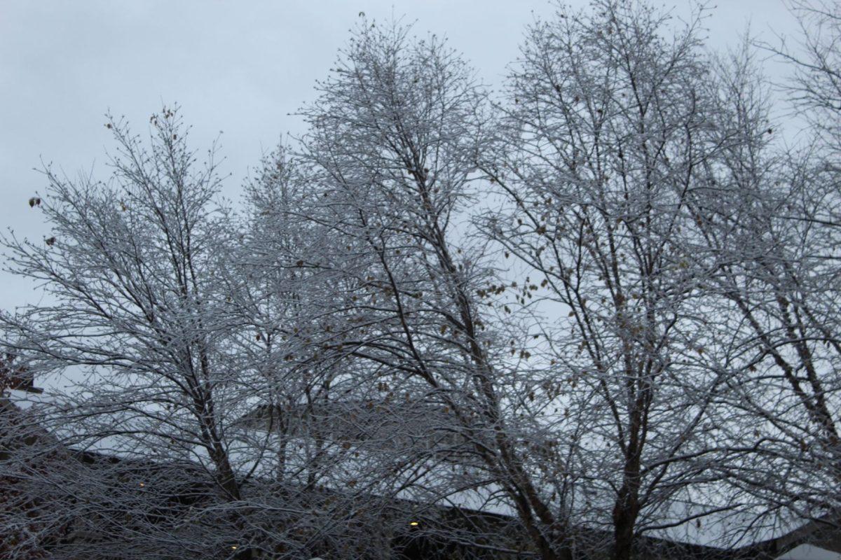 Knoxville was covered with snow after an early cold front passed over the city on Tuesday, November 12, 2019.
