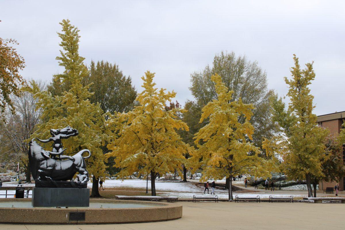 Snow covers the ground on the University of Tennessee, Knoxville's campus on Tuesday, November 12, 2019.