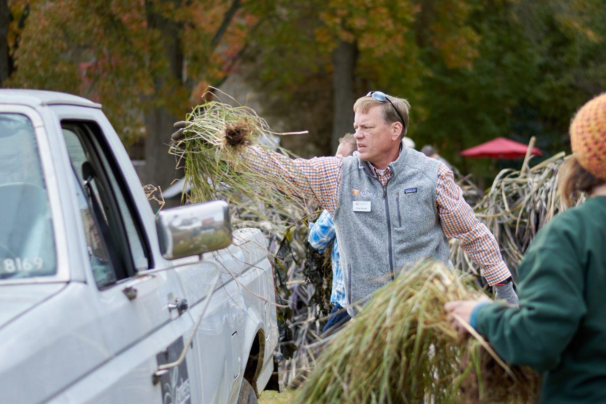 Chip Bryant tosses weeds into a truck as students, faculty and staff came together to clean up the UT Gardens during the Chancellor's Day of Service on Friday, November 15, 2019.