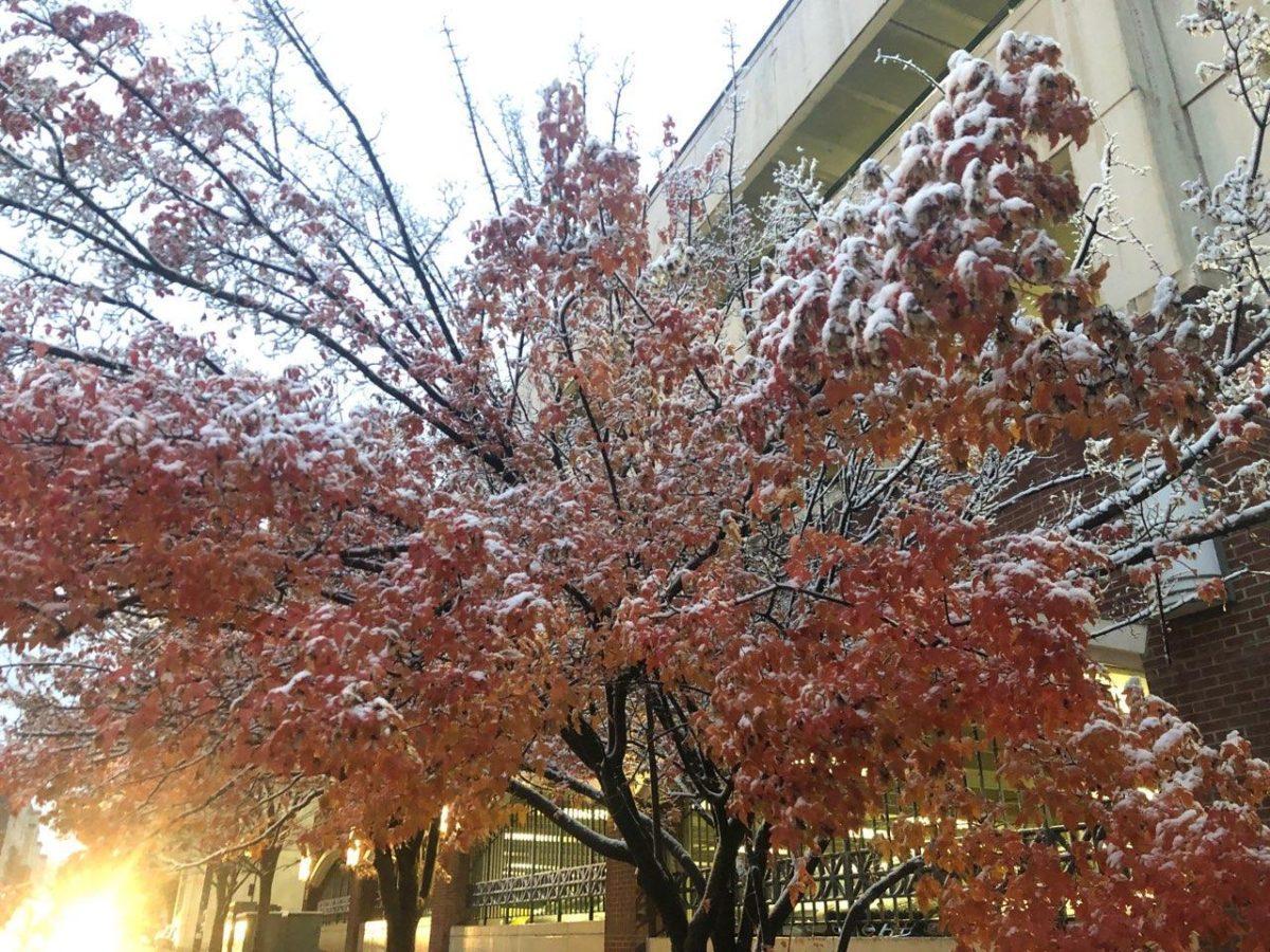 Snow covers the ground on the University of Tennessee, Knoxville's campus on Tuesday, November 12, 2019.