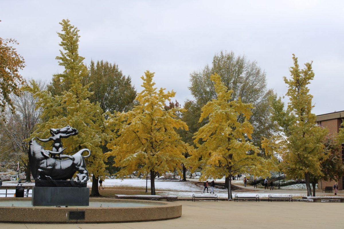 Snow covers the ground on the University of Tennessee, Knoxville's campus on Tuesday, November 12, 2019.