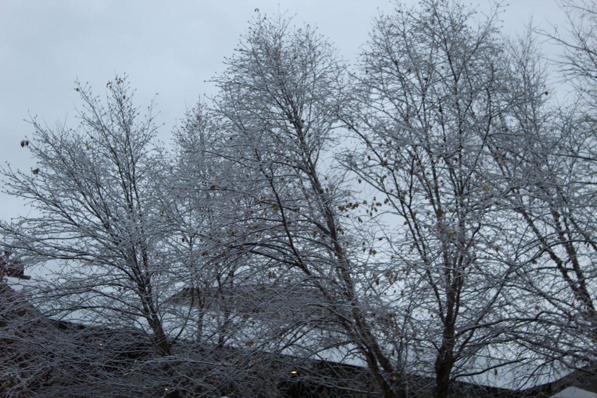 Knoxville was covered with snow after an early cold front passed over the city on Tuesday, November 12, 2019.
