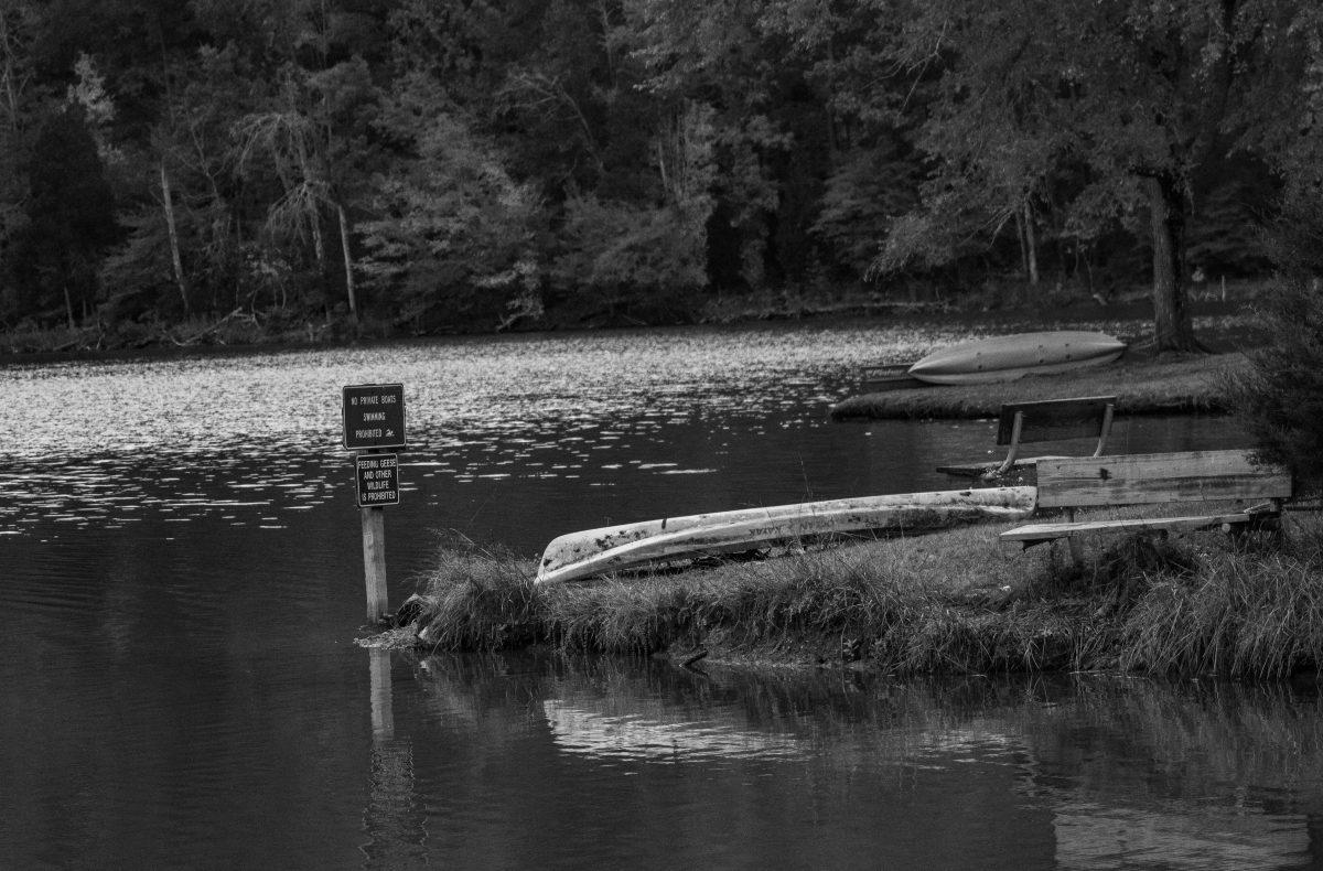 With easy access to Norris Lake, Big Ridge National Park is a popular kayaking and fishing recreational area that's about 30 minutes from UT campus.