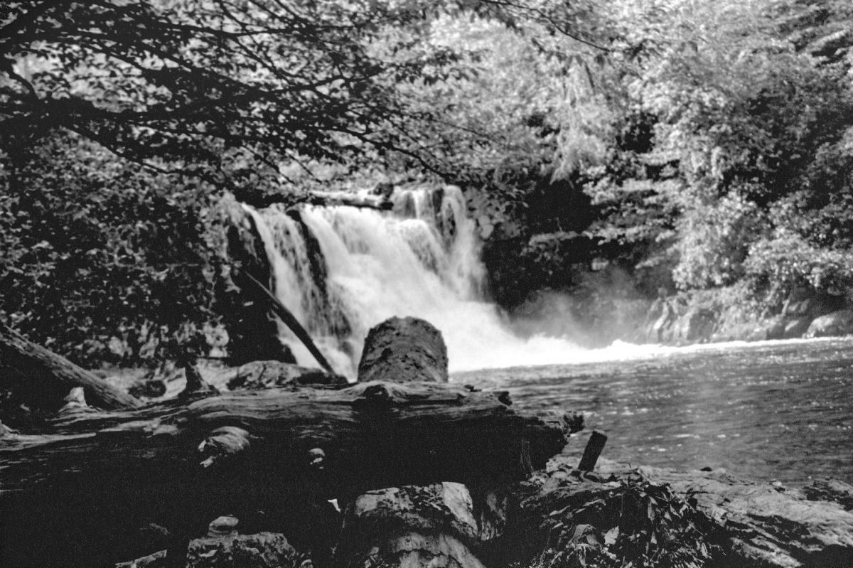 Abrams Falls in the Great Smoky Mountains National Park is a moderately difficult hiking trail, with a roundtrip of just over 5 miles.