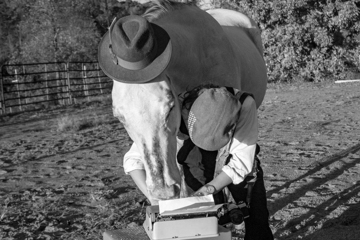 Hank, the equine editor extraordinaire, checking over my shoulder to make sure the column looks good - and includes him.