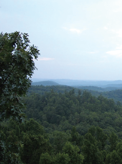 The Cumberland Forest, which stretches across 8,600 acres in Morgan and Scott Counties, is the largest field research unit in the UT Forest Resources Ag Research and Education Center.