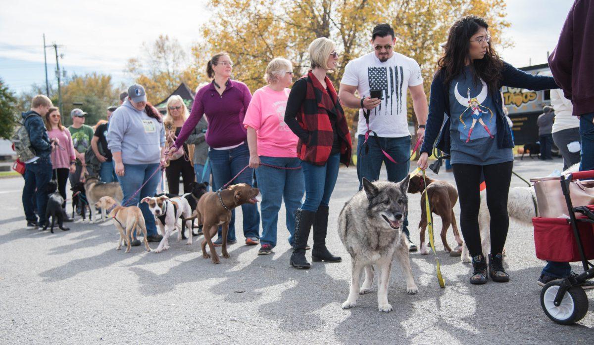 Owners and their furry friends wait in line to receive free pet supplies at the Young-Williams Animal Center's Furry Fall Festival on Nov. 4, 2018. 
