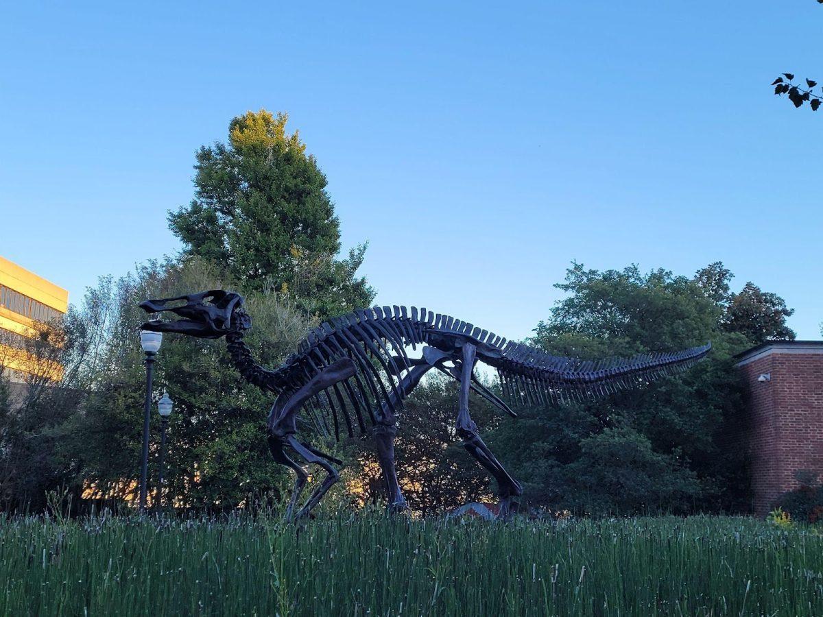 The Prehistoric Duckbill in front of the McClung Museum of Natural History and Culture.