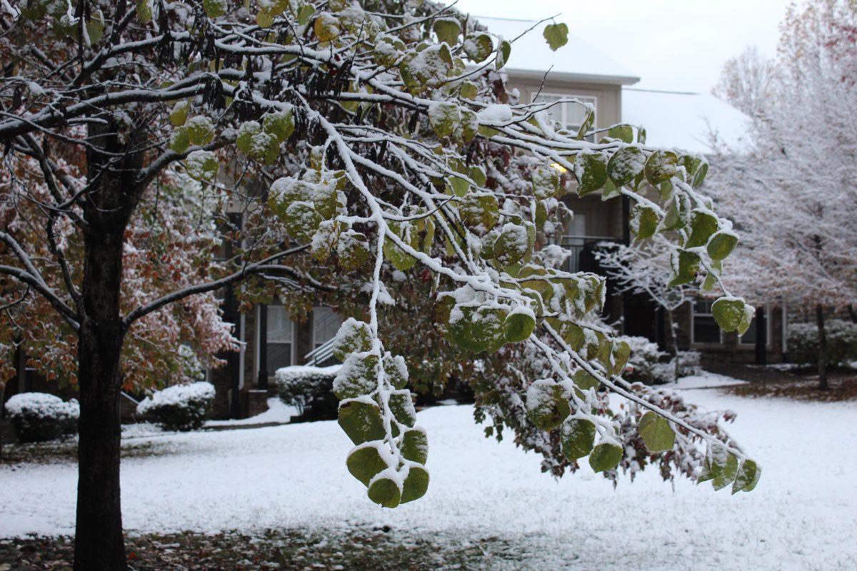 Knoxville was covered with snow after an early cold front passed over the city on Tuesday, November 12, 2019.