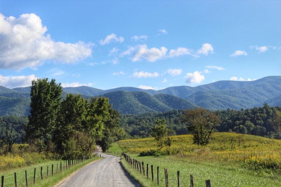 Cades Cove Loop offers opportunity to view the mountains from your vehicle. 