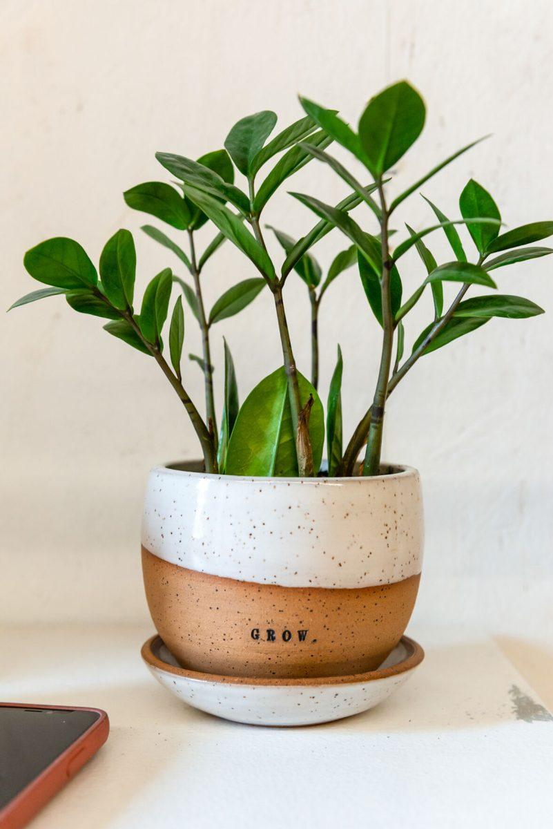 A pot by local clay artist Stacy Shepanek in her studio at Mighty Mud in Knoxville, TN. Tuesday, Mar 8, 2022.