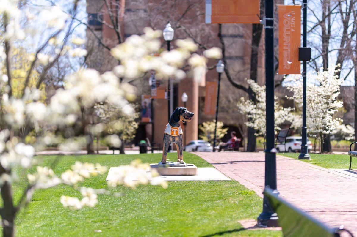 A Smokey statue on campus on April 3, 2022.
