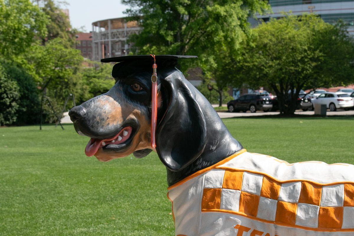 A Smokey statue in Circle Park dons a graduation cap as the 2022 commencement nears on May 2, 2022.