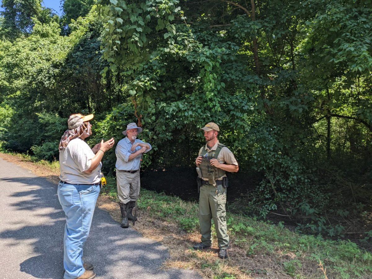 Jaq Payne speaking with a park ranger about the bald cypress nominations.