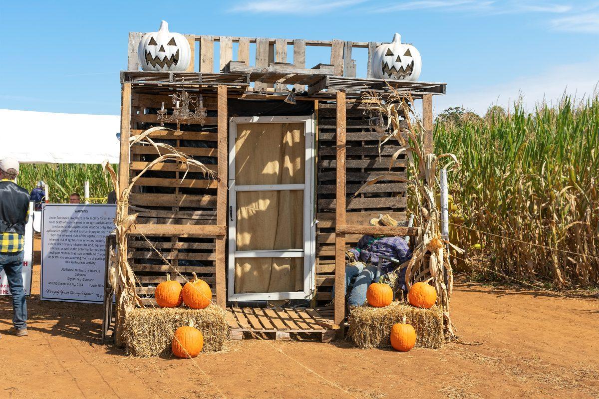 GREENBACK, TN - The front of the corn maze at Maple Lane Farms. Sunday, Oct. 9, 2022.