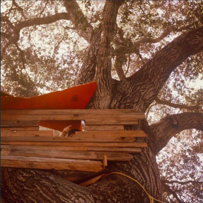 "Waiting to Spill" album cover.