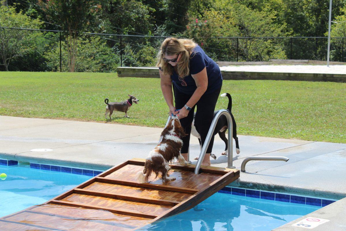 Trainer retrieves toy after playing fetch during Doggie Dip Day on September 10 at Inskip Pool. 